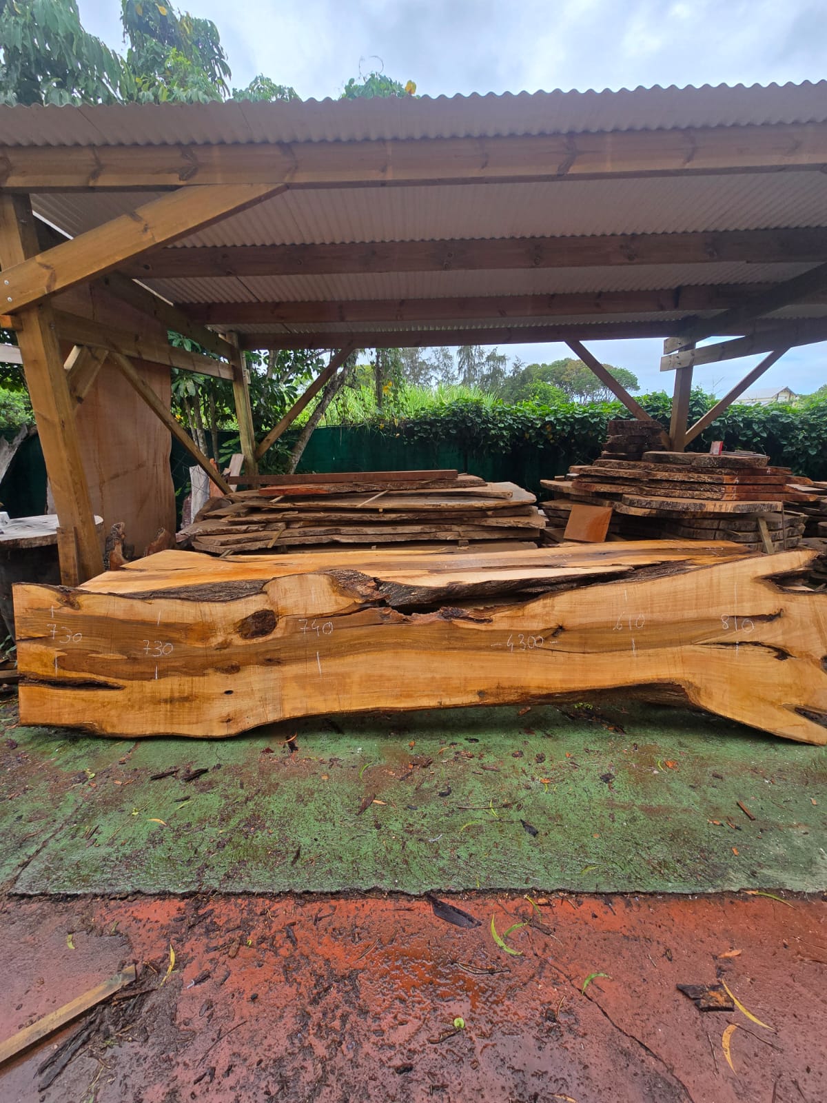 Poirier, Guadeloupe