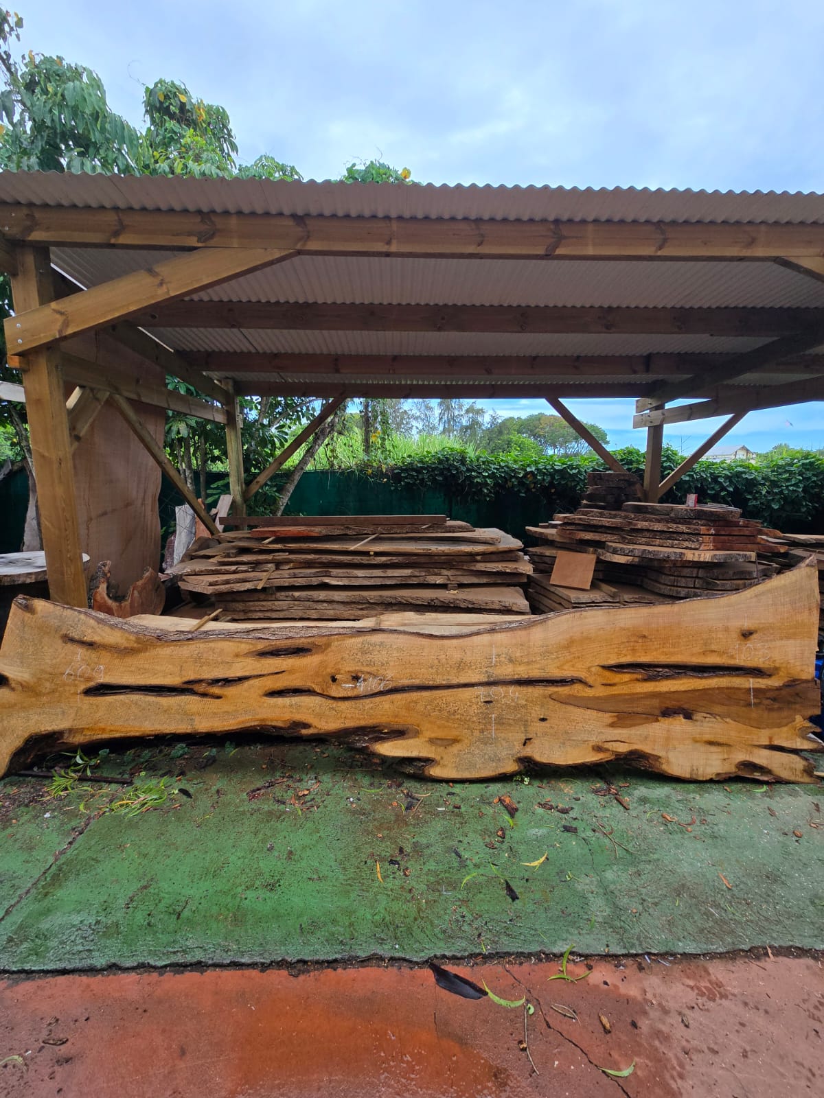 Poirier, Guadeloupe