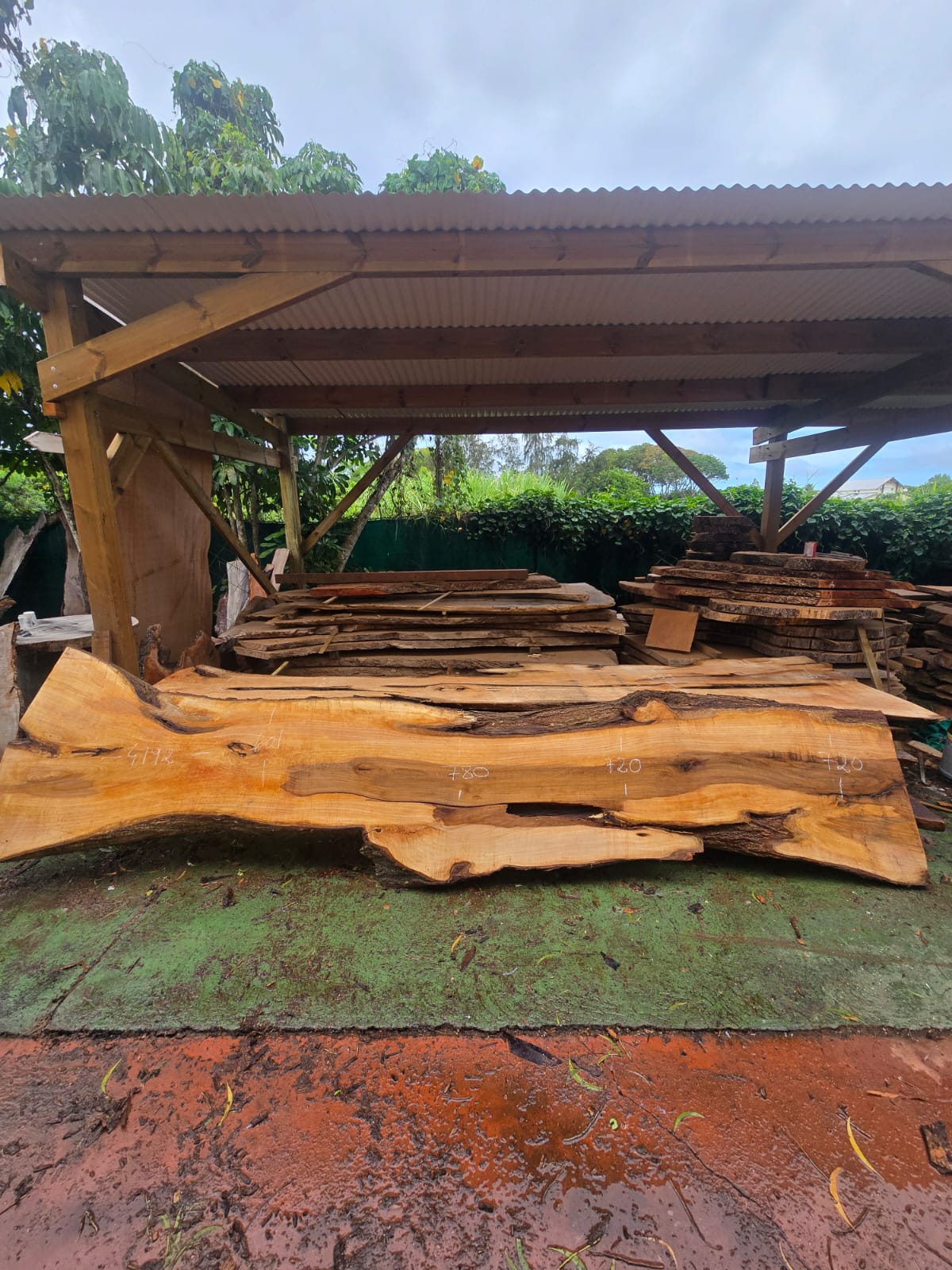 Poirier, Guadeloupe