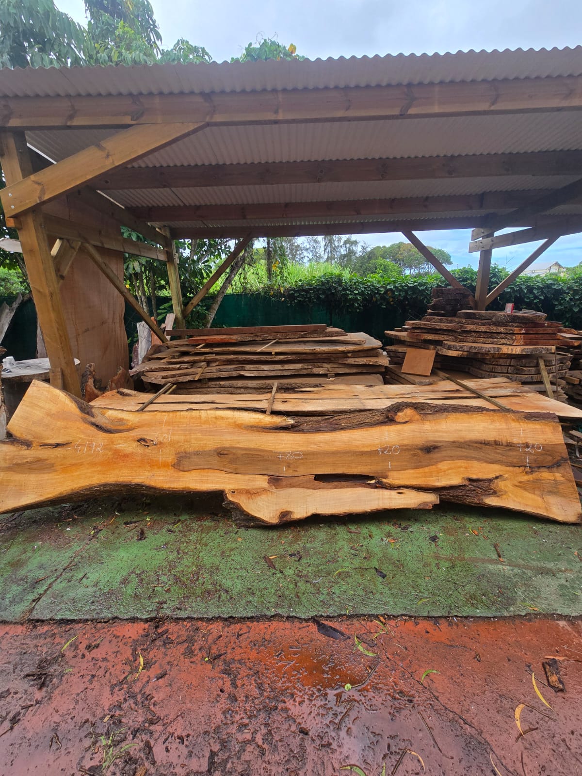 Poirier, Guadeloupe